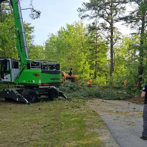 I was very pleased with sears tree experts. They were professional, scheduled quickly, showed up on time, and took down 37