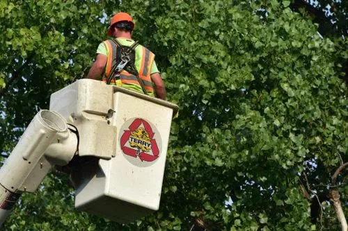 Terry Tree Service trucks responded to the emergency clean up in Geneseo following the microburst on June 16th