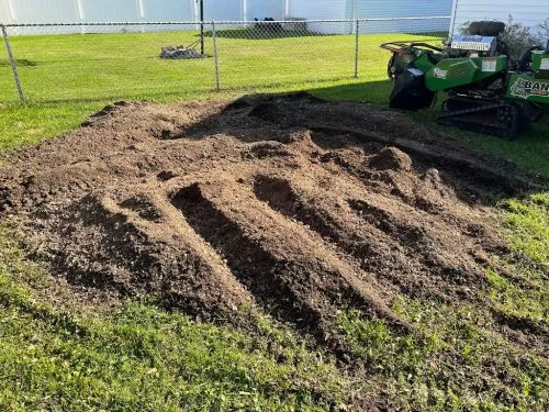 1776 Tree Service did a GREAT job! They cut down three of my trees, stump ground them and then did more stump grinding from