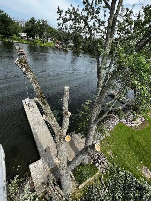 Ray and his team had a difficult job of taking 2 trees down that hung over my dock. Any slip up and my dock is ruined