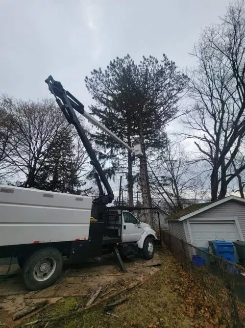 Matthew and his team were so skilled! They took down some very large trees, some close to 100’ tall and very close to the