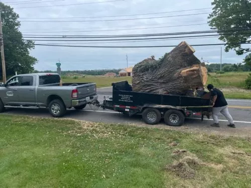 Excellent tree removal service! I was told the project would not be done till the following week of my call