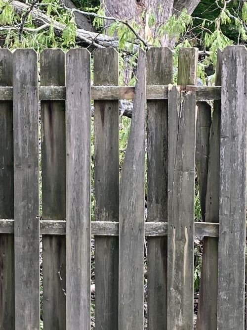  alt='My neighbor had two trees taken down and they dropped limbs and broke several panels on my fence'