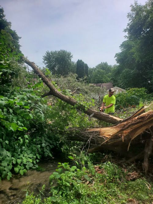  alt='Billy and is co-worker did quality work removing a lot of yard debris and leaving the grounds very neat'