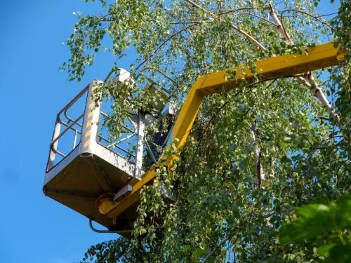 They damaged my roof with the tree limbs they cut and never responded. Just led me on for 2 weeks