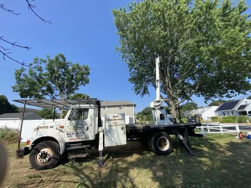 Allstate just came to my house today to trim two very large oak trees