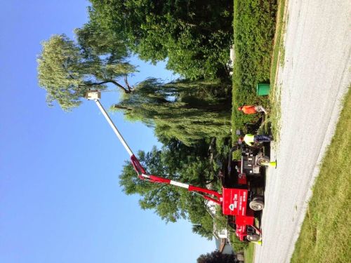  alt='We have a beautiful huge sycamore tree in our backyard. Several large limbs were hanging directly over the house, so we'