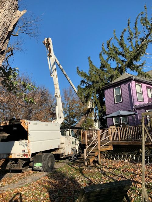  alt='A sixty-foot spruce fell onto my house during a wind storm. Dietz Tree Services brought in a crane, safely removing the'