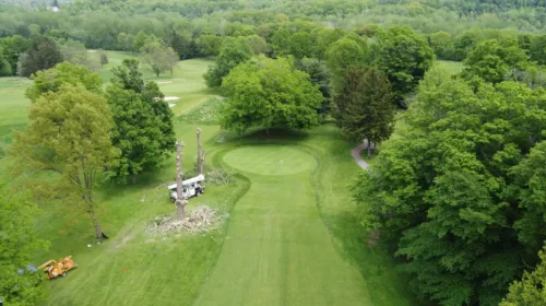 We can’t say enough good things about May’s Tree Service from Lancaster. Prompt service