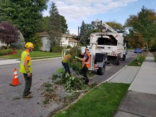 From start to finish Andrew and his crew did an impeccable job cutting down our beloved willow tree