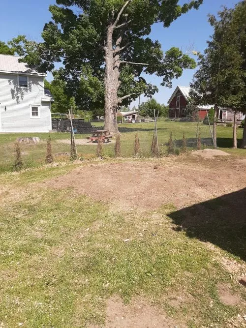 Tim Flint of TF Stump Grinding did a wonderful job removing an extremely large tree trunk in my yard along with additional