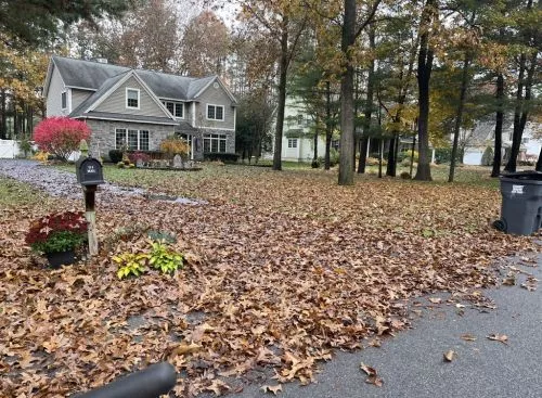 I have had Ian and crew for a number of years for lawn maintenance, Fall and Spring cleanup