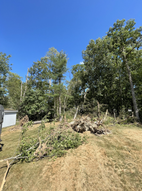  alt='Cody and his crew came out and removed 4 dead trees and used their brush hog to brush hog my river bank. . . '