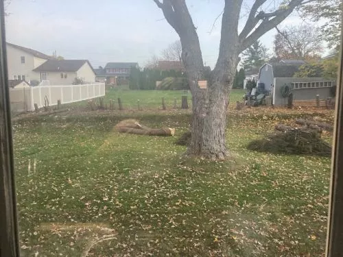 Kyle was great! He was on time and left my yard clean and stump free! I couldn’t be happier with the stump removal. 