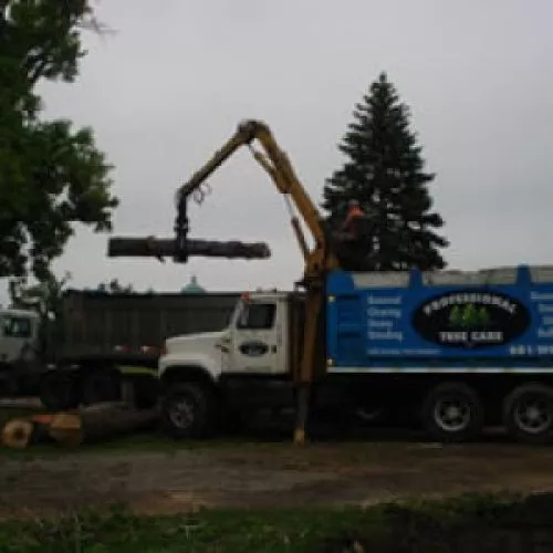 Justin does amazing work. With very limited physical access from our backyard, he removed a very large tree from the other