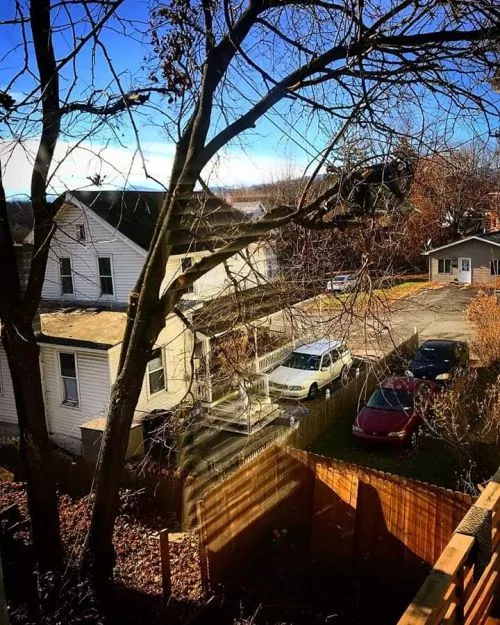 I requested an evaluation and recommendation for tree pruning and removal on a property that my husband and I recently