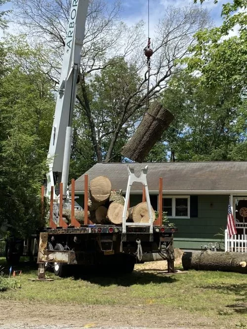 Dan has done work for me two times this summer. The first time was an emergency call for a tree on my car and garage