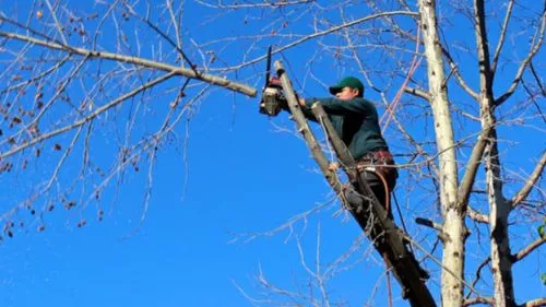 We highly recommend this company! Donovan"s has visited our property for tree removal several times over the last dozen