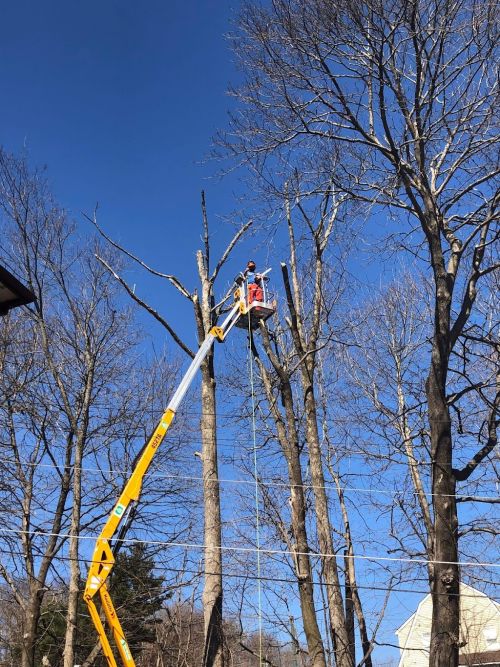  alt='For those of us in Sullivan County who deal with contractors or service people 2 hours late or better, never showing up,'