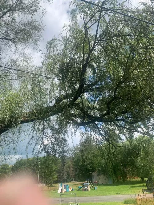 Tree on house after storm He knew I was an hr away. He came to the house and we worked everything out on the phone with