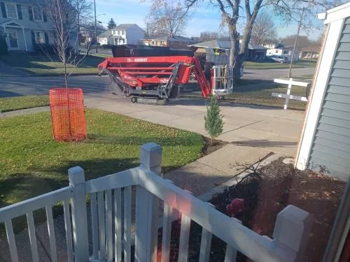 After a windstorm a mature tree snapped and was hung up in another tree, a “Widow Maker”