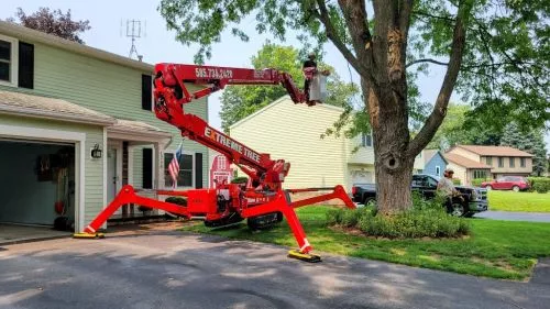 Extreme Tree removed 3 large red oaks that were between our home and Seneca lake front