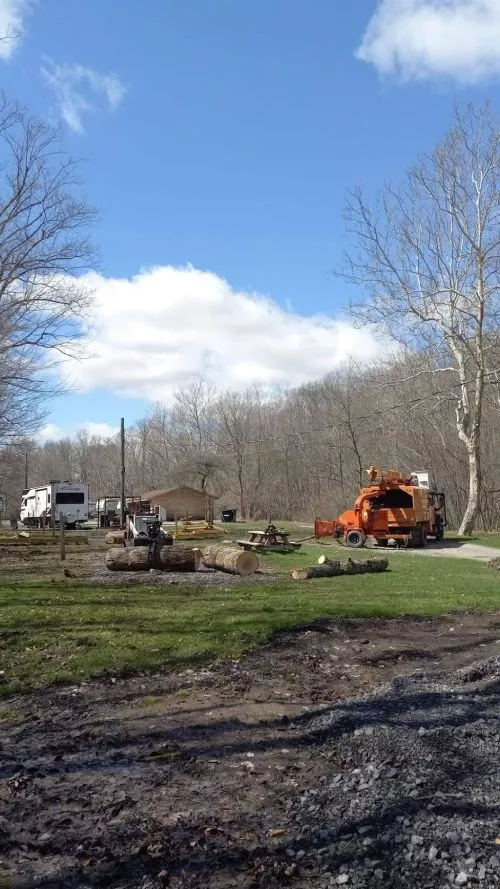 Eric & his crew did an excellent job removing 4 trees, along with trimming a few trees & grinding the stumps