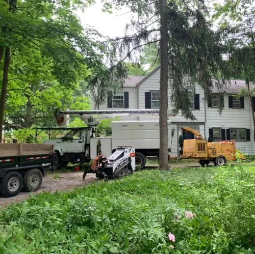 Todd and his crew removed two large trees from my yard today and they did a tremendous job