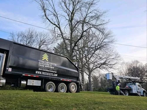 Arborist Adam and his crew are awesome. If they are able to tackle your residential project with their big trucks, I highly