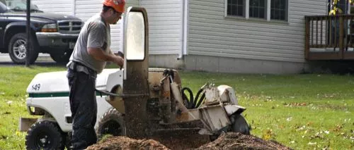 Highly recommend 1-2 tree service. They are responsive, fairly priced and did a great job