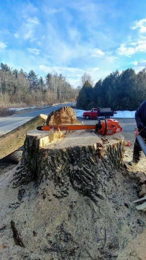 James did a great job removing a 50’ pine tree from our backyard