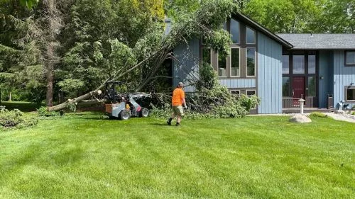 I have had Stumpbusters to my house 4 times to remove around 20 dead ash trees and grind several stumps