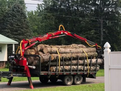 They completed a large job taking down a whole row of really tall pines