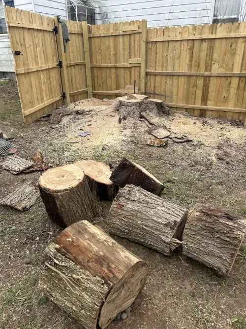 I called for an estimate and within 2 weeks my enormous tree stump was flattened and all the tree debris hauled away