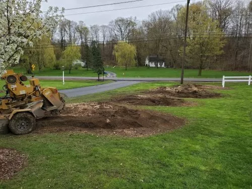 Colton was responsive, thorough, efficient, reasonably priced, and professional when it came to grinding our large stump