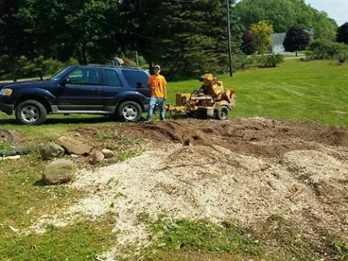 Highly recommend Dewey stump grinding. Colton was polite, professional, and reasonably priced