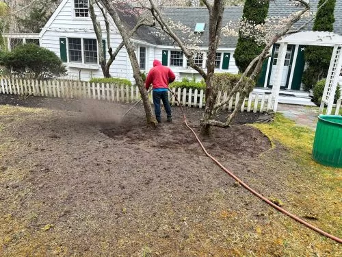 Couldn’t be happier with the experience. Had several arborists come give me quotes in the fall for trimming and tree