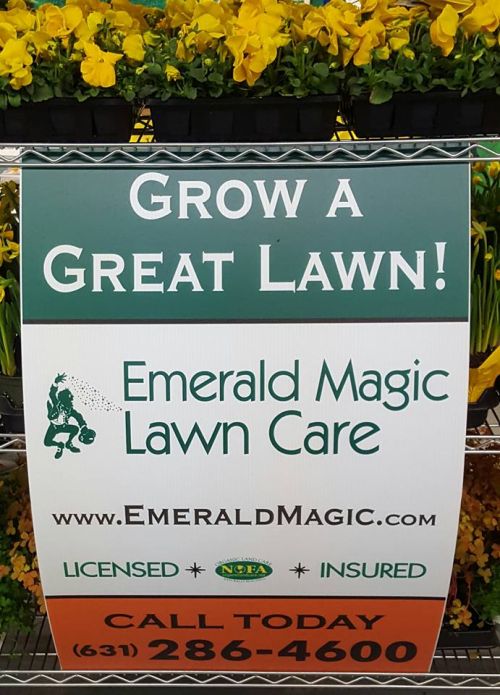  alt='After 25 years of not keeping up with maintaining my lawn, Emerald Magic Lawn Care did an outstanding job reconstructing my'