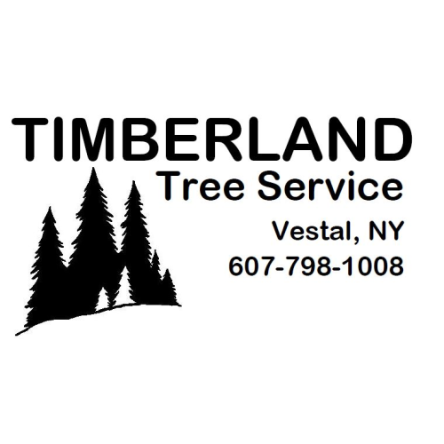  alt='I highly recommend Timberland Tree Service. We needed two trees cut down and eight stumps ground out'