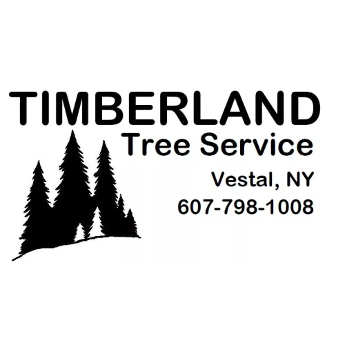 I would highly recommend Timberland Tree Service. After making many calls to other tree services in search of someone to