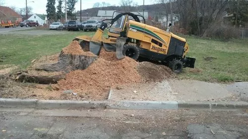 Cook"s did a great job removing 3 trees and trimming more than 10 tall oaks near our home