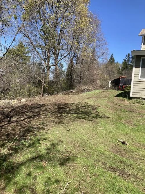 Cody came to our home and removed 4 shrubs, edged and mulched 4 flower beds and trimmed some overgrown trees