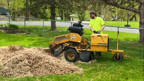 I"m so glad I hired Syracuse Stump Removal. Jeff removed 3 stumps for me and you can"t tell anything was there