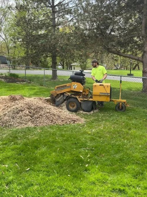 Jeff gave me a fair price and exceeded expectations. The stumps were removed and he did a great job cleaning up